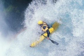 公告信息-巅峰对决60分钟，塔图姆、莎拉波娃与利物浦的悬念之夜